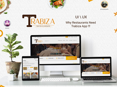 Trabiza website website website design