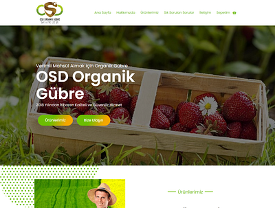 Osd Organik Gubre elementor front end development mobile responsive website wordpress