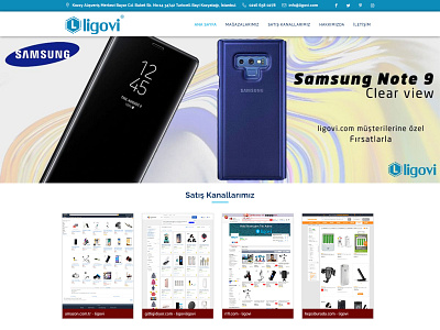 Ligovi Mobile Phone Accessoies's Web Site