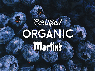 Martin's Certified Organic Logo blueberries certified design food fresh fruit grocery icon logo martins organic produce retail supermarket vegetables wordmark