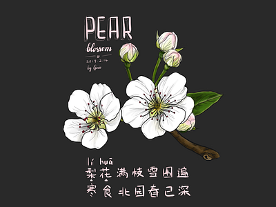 Pear blossom