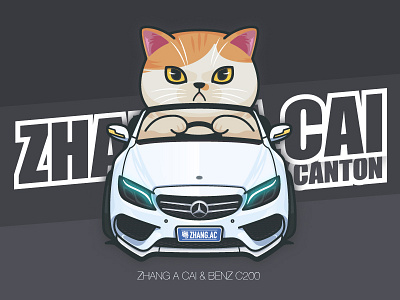 Cat ZAC with BENZ C200 benz car cat