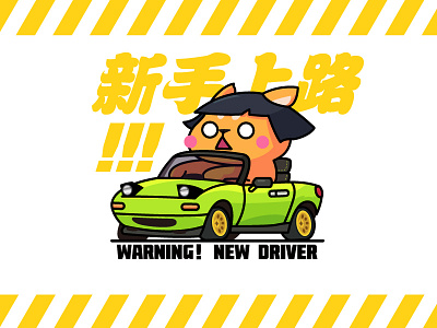 Warning New Driver!