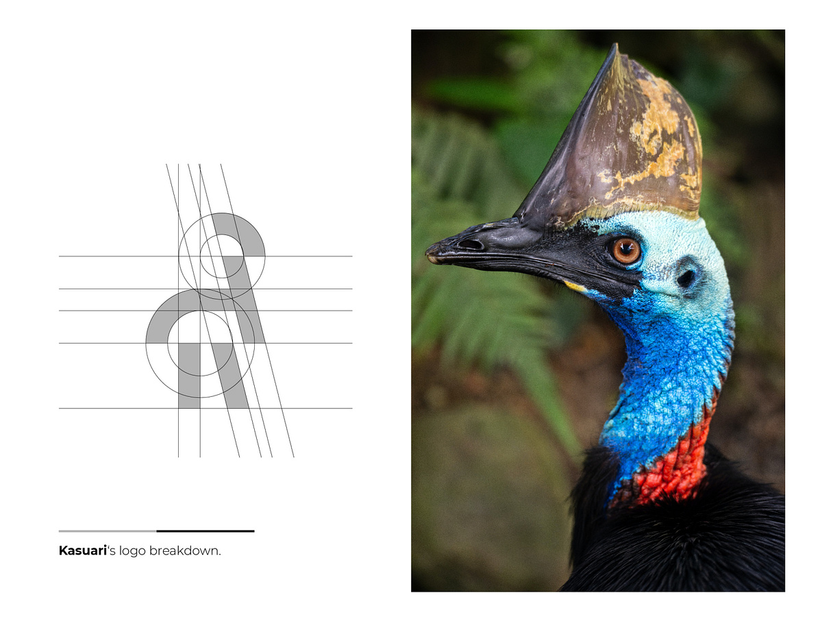 Kasuari - Cassowaries Bird Logo & Visual Identity by Vito Arvy on Dribbble