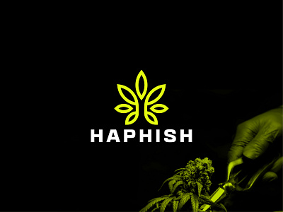 Haphish - Logo Design branding canabinoid cannabis design ganja graphic design grid hash health hemp herbal herbs icon identity logo marijuana modern pharmacy presentation weed
