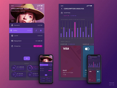 20-0312 budget app UI