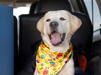 Free Dog Bandana Mockup PSD Template