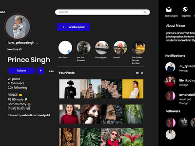 instagram desktop app concept