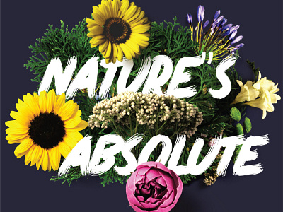 Nature's Absolutes animated brand identity branding branding agency corporate identity design graphic graphic design illustration illustration art package design packaging vector