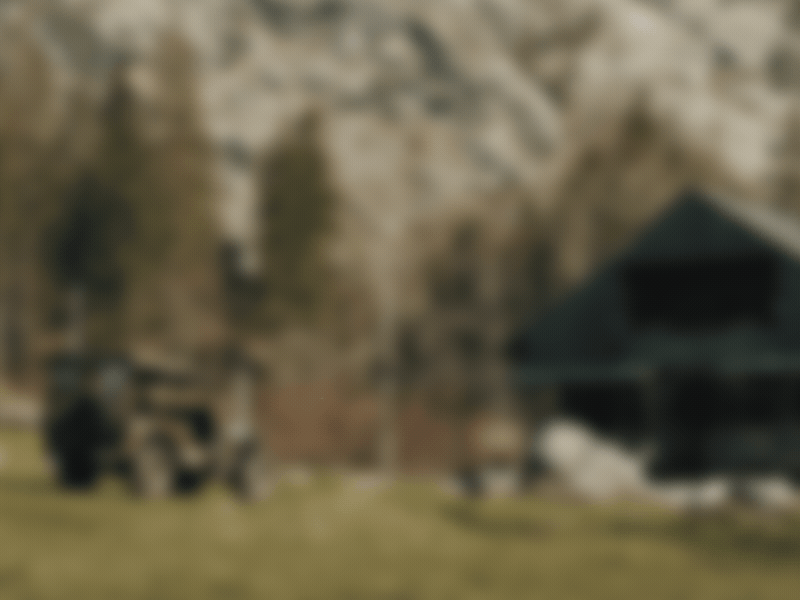 An deiner Seite by Kontra K - Animated Icons „House“ icon animated minimal house kontra k an deiner seite web app mobile white line interface