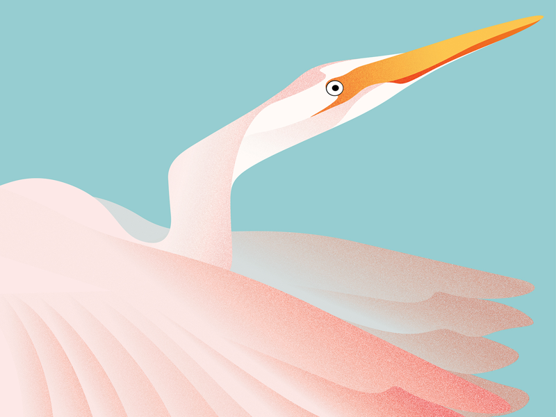 No regrets but theres egret pastel wings egret portrait bird illustrator graphics digital art minimal art vector design drawing illustration