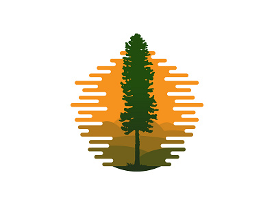 Douglas Fir Tree american douglas fir landscape logo nature scredeck sunset tree