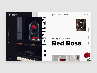 Red Rose - Web-design | Minimal |