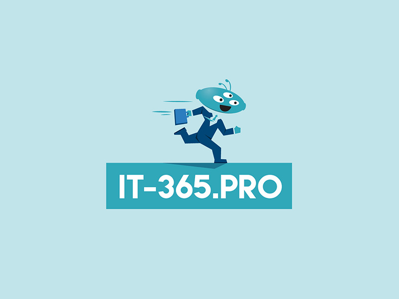 IT-365.PRO flat illustration logo design vector logotype branding brand identity brand design character design characterdesign character