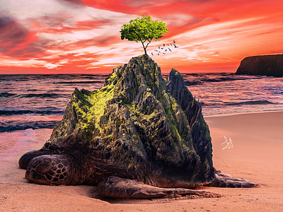 Turtle Island - Image Manipulation