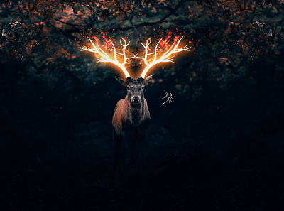 Fire Glowing Deer || Photo Effect in Photoshop || Speed-Art image editing image manipulation photomanipulation photoshop photoshop tutorial