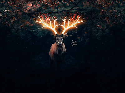 Fire Glowing Deer || Photo Effect in Photoshop || Speed-Art image editing image manipulation photomanipulation photoshop photoshop tutorial