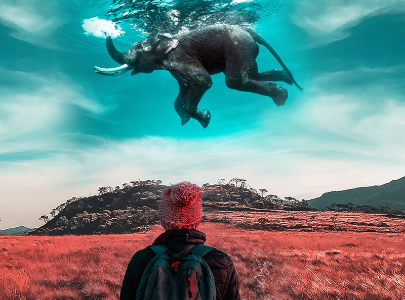 Elephant World -- Photo Manipulation in Photoshop -- Speed-Art art artsnpaper clean design flat free downloads graphicdesign image manipulation photoshop photoshop tutorial