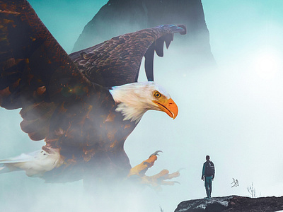 Giant Eagle || Photo Manipulation in Photoshop