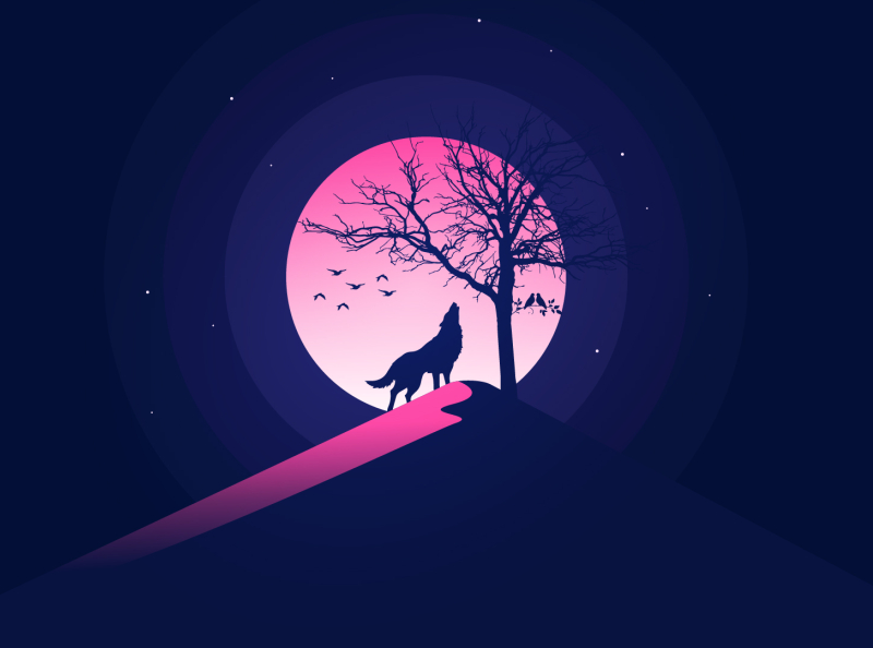 Landscape Vector Illustration by Tanzeel Rahman on Dribbble