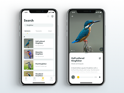 Sasol eBirds App Concept