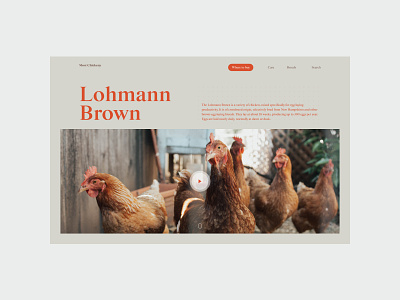 Most Chickeny (No. 14) concept home ui website