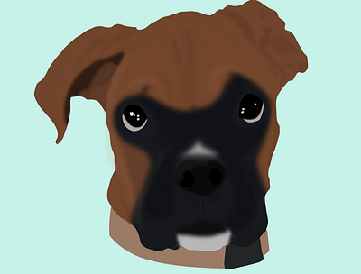 Manny animal boxer design dog graphicdesign illustration puppy vector