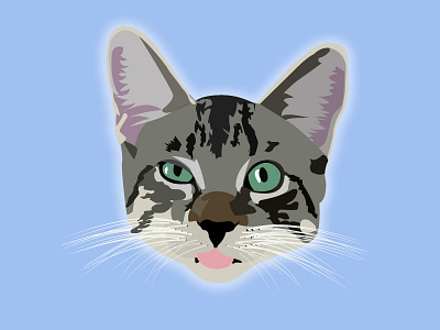 Kirk cats design graphicdesign illustration vector