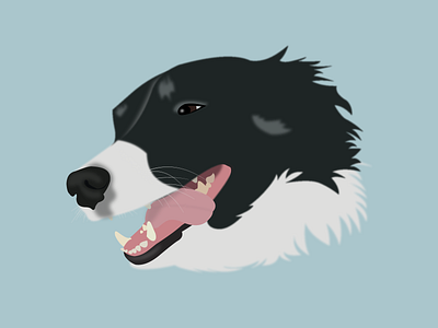Paisley design dog graphicdesign illustration pets vector