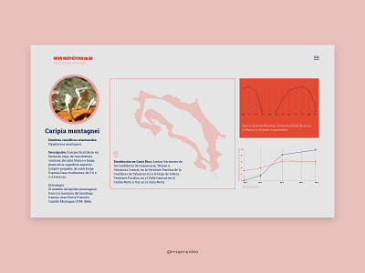 Daily UI 018: Analytics Chart 018 adobexd app dailycreativechallenge dailyui dailyuichallenge design ui ux