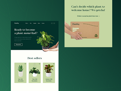 Plant Store Website Concept design designer green homepage minimal modern plant plants ui ui ux ui design uidesign uiux user experience user experience design web web design webdesign website website design