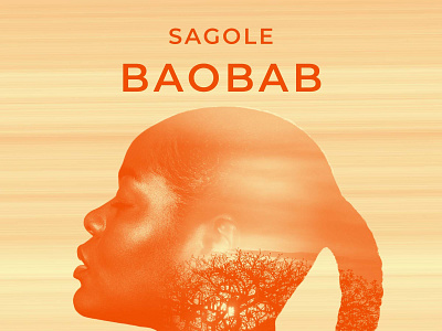 Segole Baobab adobe photoshop