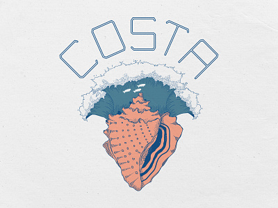 Concept Design Work for Costa Sunglasses coast conch costa design east coast graphic design illustration ocean shell summer sunglasses t shirt typography vector waves west coast