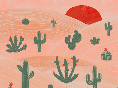 Desert cactus desert design flora green illustration nature plants red sunset