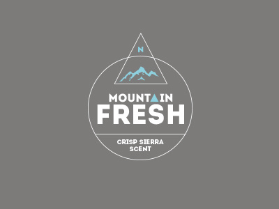 Mountain Fresh Logo Study compass geometric logo mountain typography vector