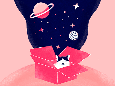 Cat in the universe box cat colors illustration photoshop texture universe world