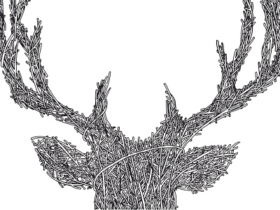 The Stags head antlers deer deers head hand drawn illustration nature pattern stag stags head