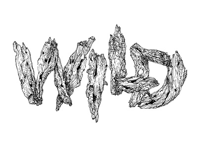 Dribbbleversion