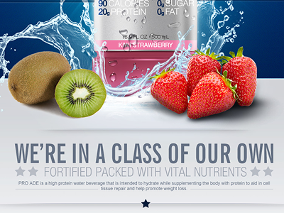 Pro Foods Re-Design graphic design pro foods ramiro galan web design