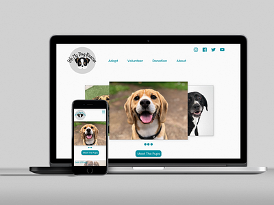 Oh My Dog Rescue UX design branding design ui ux