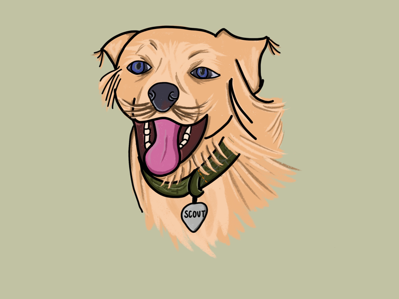 Scout digital drawing illustration dog apple pencil ipad procreate