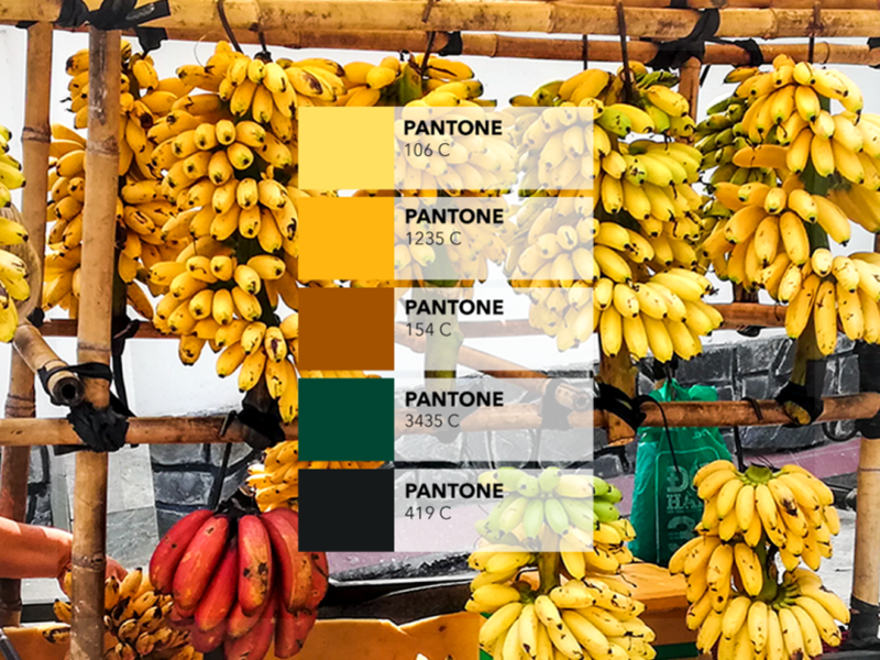 Pantone Campaign the banana shop 🍌 🍌 by What'zhat Agency on Dribbble
