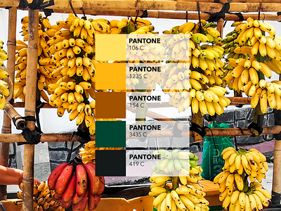 Pantone Campaign : the banana shop 🍌 🍌 colored design pantone photograhy yellow