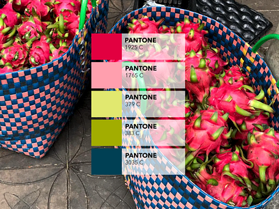 Pantone Campaign : the dragon fruit