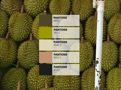 Pantone Campaign : the durian fruit colored design durian pantone picture