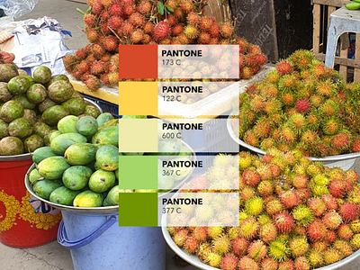 Pantone Campaign : the fruit shop 2 colored design fruit pantone picture
