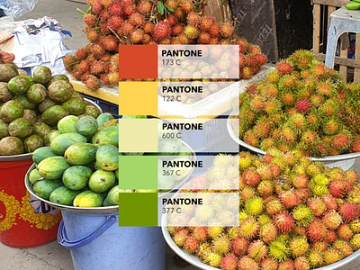 Pantone Campaign : the fruit shop 2