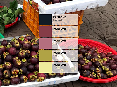 Pantone Campaign : the mangosteen fruit colored design fruit pantone picture