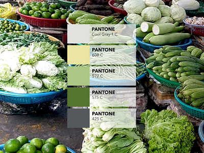 Pantone Campaign : the vegetables colored design green picture vegetable