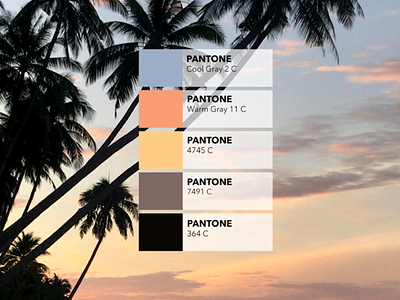 Pantone colors from pictures 🎨: The beach beach colored creative design identity inspiration palm tree palmtree pantone sunset